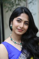 Kushi Ravi Gallery